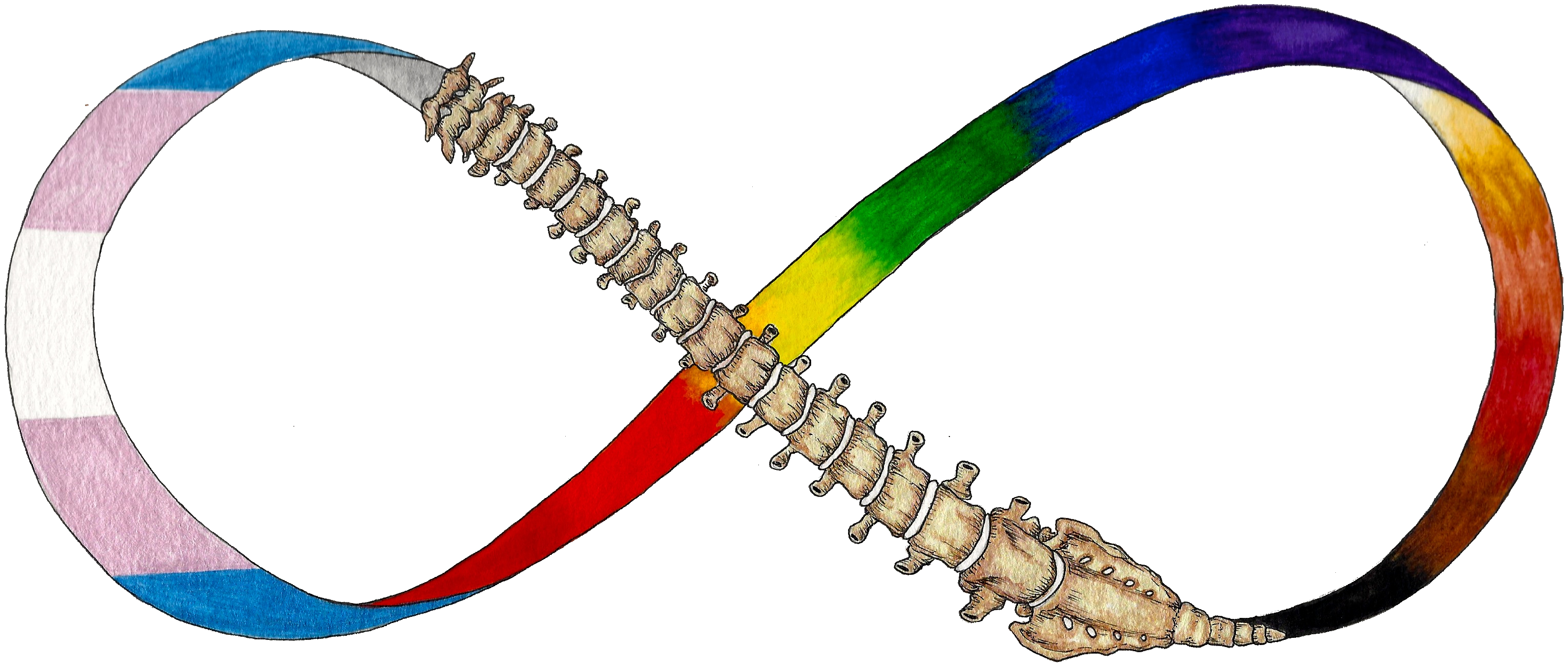 image of spine on infinity symbol